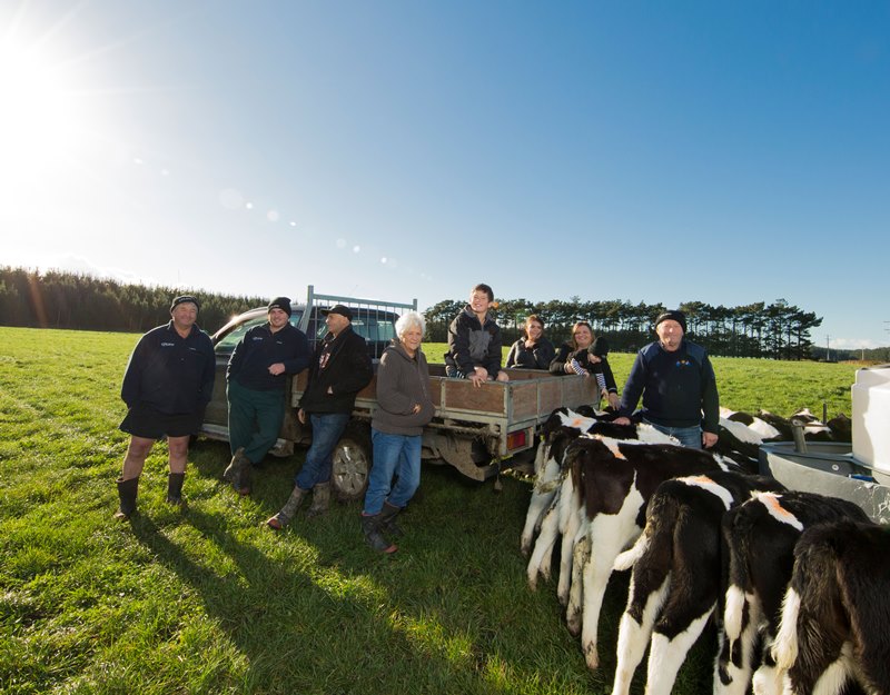 Single Farm Organic Milk Like No Other