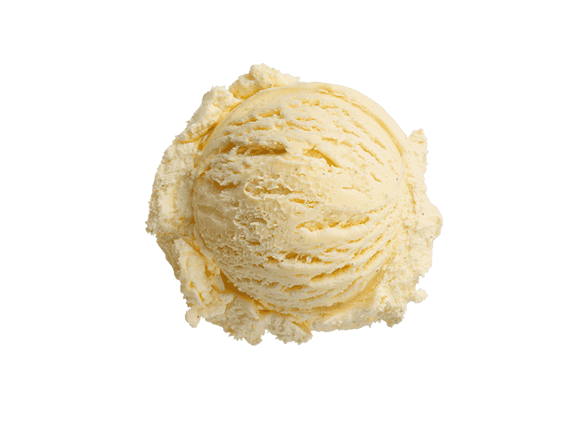 Kāpiti Vanilla Ice Cream