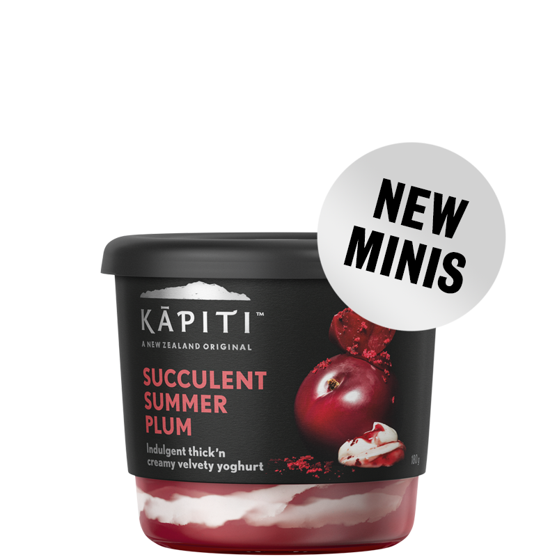 Succulent Summer Plum Mini