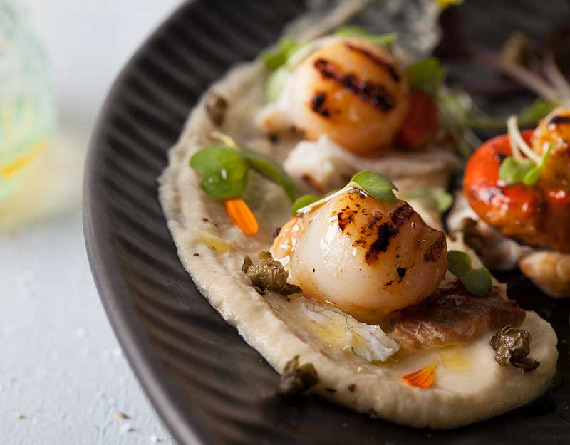 Scallops on Cauliflower & Rarama Puree