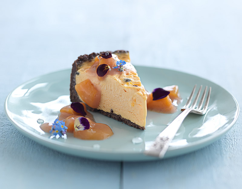 Summer Nectarine Ice Cream Pie